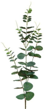 Eucalypthus gren kunstig eukalyptus