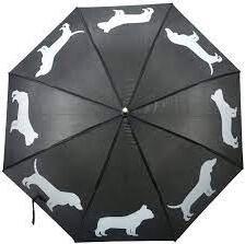 Umbrella Dogs Paraply Hunde Gravhund / Bulldog