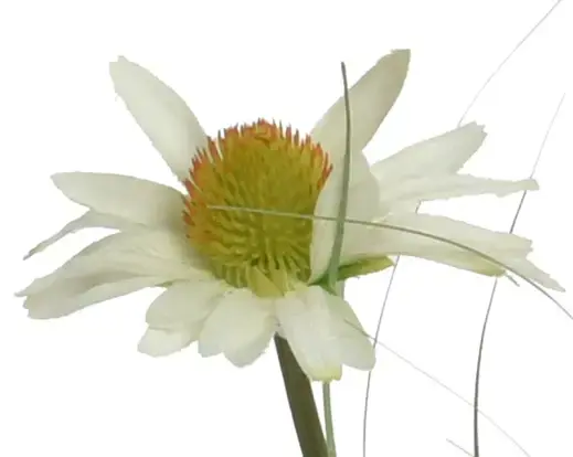 Rudbeckia, kunstig blomst solhat i krukke