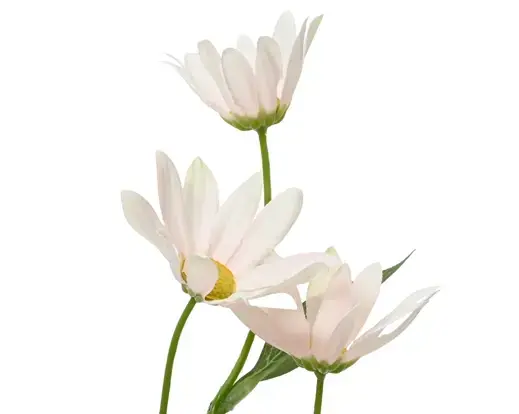 Kunstig Blomst - Marguerit Daisy