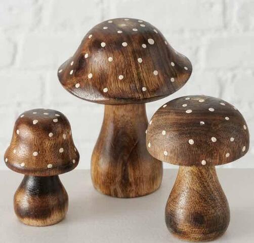 Mushroom set3 wood