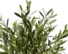 oliventræ kunstig stof naturtro