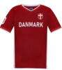 Fodboldtrøje Danmark nr. 10 Danish National Football