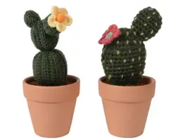 Cactus knitted