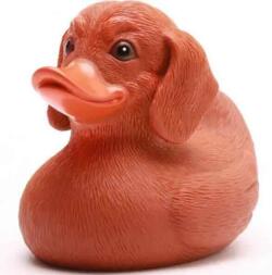 Badeand Gravhund duck rubberduck
