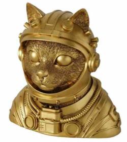 Buste kat Spenson
