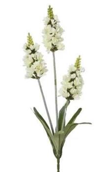 Lavendler Hvid på stilk