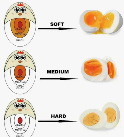 Æggetimer Kylling med farveindikator Egg perfect