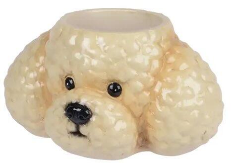 Vase Skjuler Poodle doodle