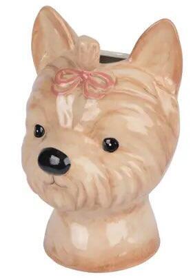 Vase skjuler hund terrier beige