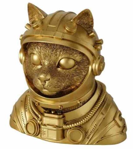 Buste kat Spenson