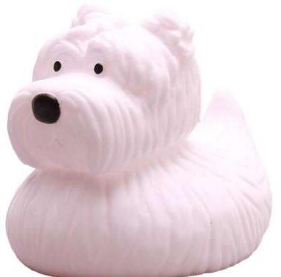 Badeand westi rubberduck scottie