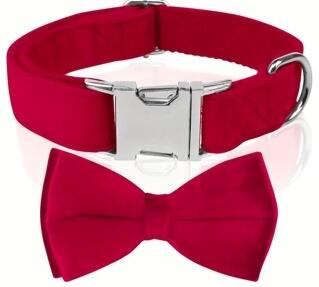 Rød bowtie Hundehalsbånd med sløjfe velour