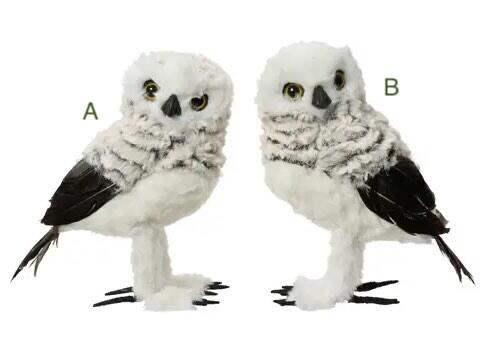 Ugle lille hvid sneugle