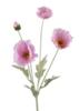 Valmue blomster soft pink stilk kunstig