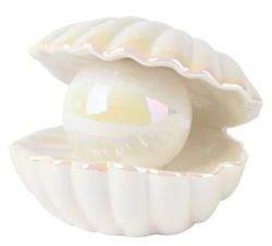 Shell porcelain