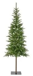 Juletræ Alpbach fir XL